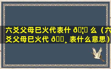 六爻父母巳火代表什 🦋 么（六爻父母巳火代 🌸 表什么意思）